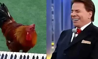 A emoção de Patrícia Abravanel ao relembrar Silvio Santos
