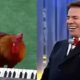 A emoção de Patrícia Abravanel ao relembrar Silvio Santos