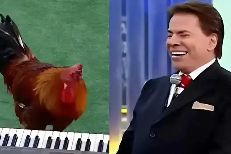 A emoção de Patrícia Abravanel ao relembrar Silvio Santos