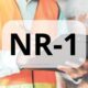 Nova NR-01: A Revolução nas Empresas em Pro da Saúde Mental