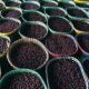 COP30 reverte proibição e libera açaí na culinária paraense