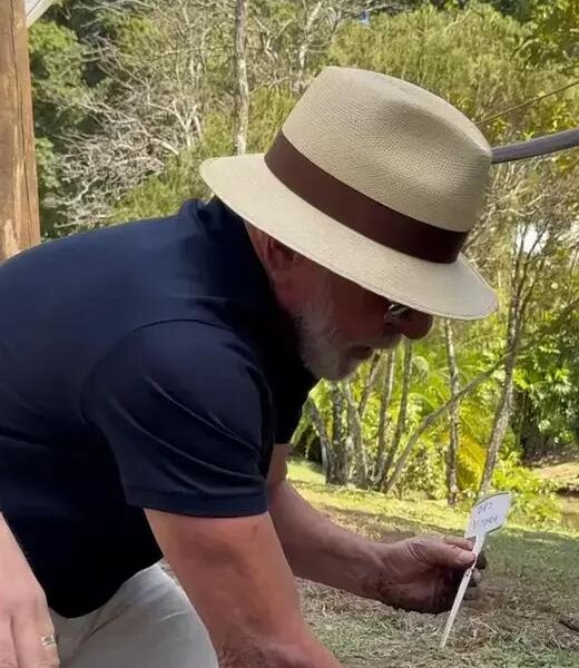 Lula convida Trump a conhecer o Brasil e plantar uvas em Brasília