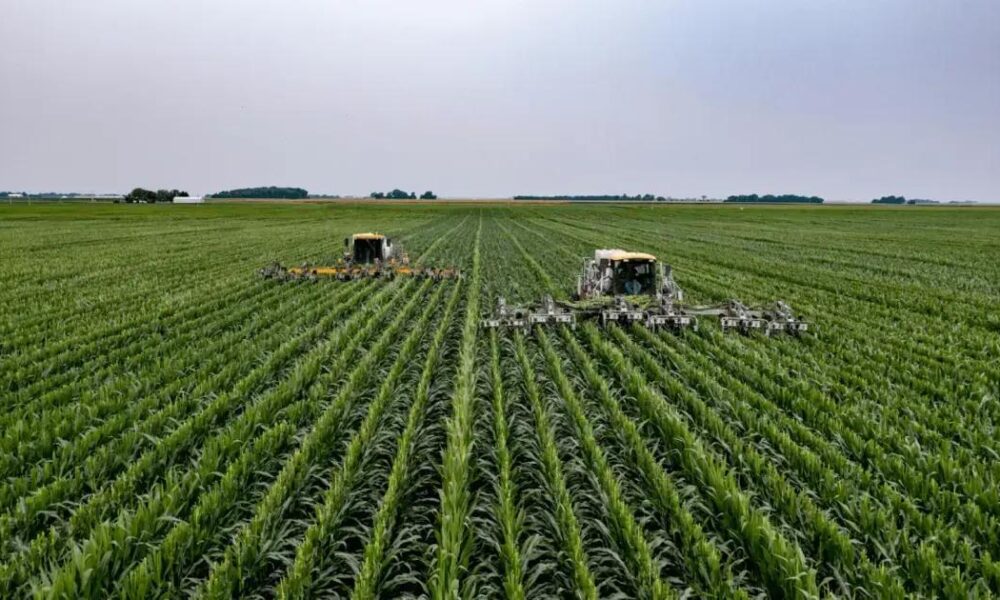 XPCA11 entrega dividend yield estável e projeta crescimento no agronegócio