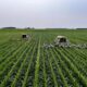 XPCA11 entrega dividend yield estável e projeta crescimento no agronegócio