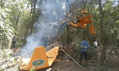 Avião de pequeno porte cai em lavoura de cana e pega fogo em SP