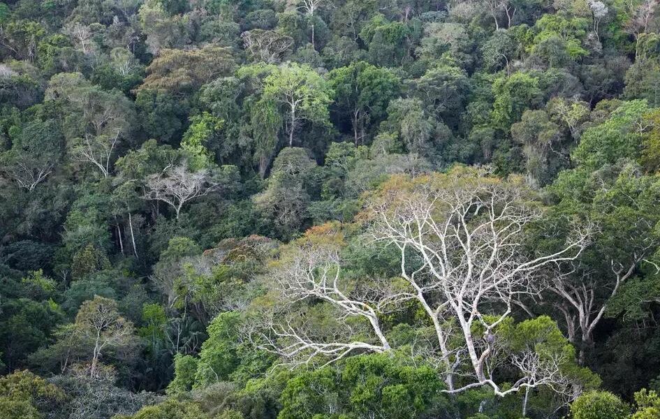 BNDES seleciona 7 fundos para Mitigação Climática de R$ 16 bi