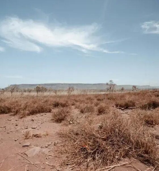 El Niño pode aumentar bandeira tarifária e preços em 2026
