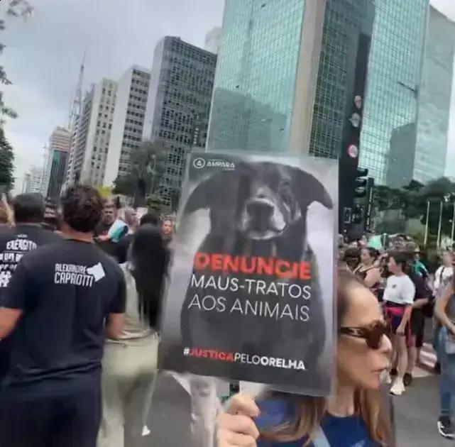 Manifestações por Justiça: O Caso do Cão Orelha Choca o Brasil