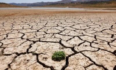 Previsão de chuvas diminui e reservatórios devem cair em fevereiro